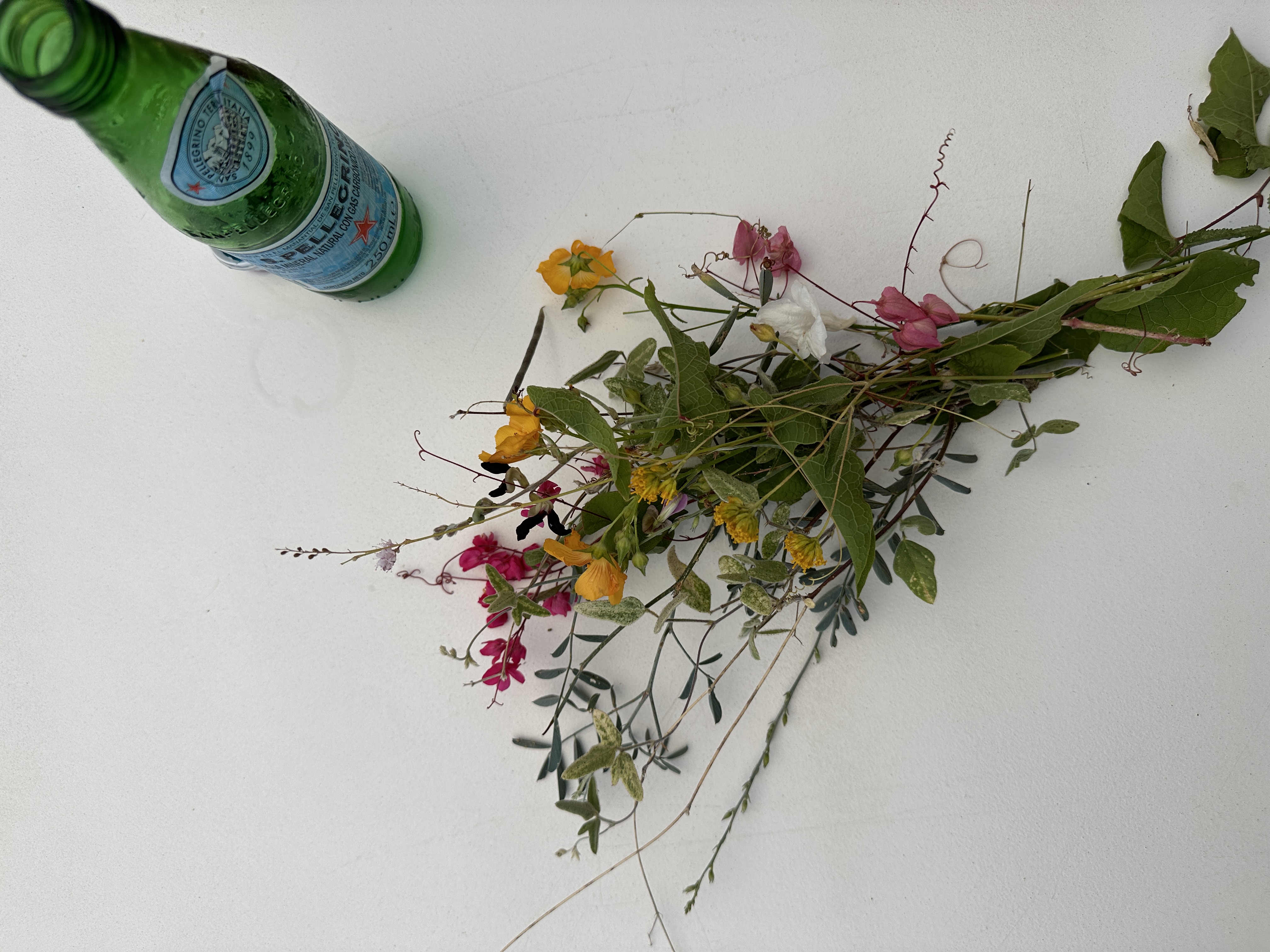 SITE FLOWERS  color inspo